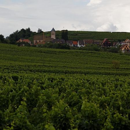 Bed and Breakfast Domaine Roland Geyer Nothalten Exteriér fotografie